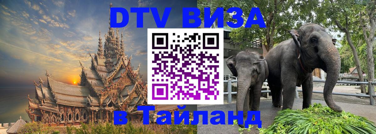 Оформление DTV визы под ключ: стоимость и тарифы, только загранпаспорт - 19.11.2025 